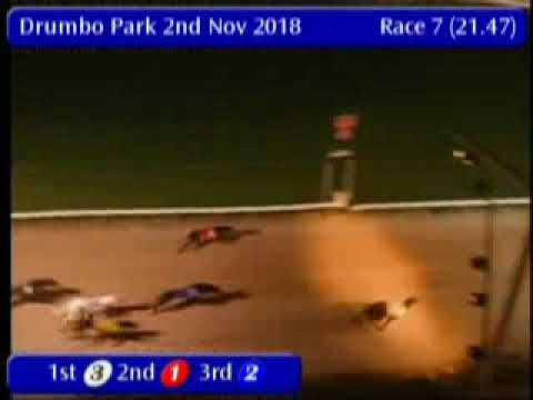 IGB - greyhound-data.com  02/11/2018 Race 7 - Drumbo Park