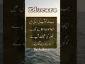 #truthseekers #truthhurts #lifelessons #doyouknow #doyouagree #farhaaamir #zindagikiseekh #lifequote