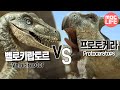 Velociraptor VS Protoceratops - The Land of Dinosaurs, #07, 벨로키랍토르 VS 프로토케라