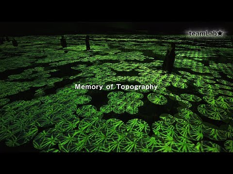 Memory of Topography / 地形の記憶