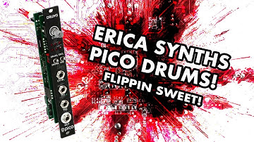 Erica Synths Pico Drums - FLIPPIN SWEET! - Overview, Demo, Tutorial