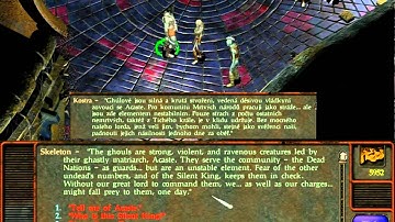 Skeleton - TORMENT - part 219 - gameplay - hardest difficulty - HD