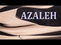 Azaleh best collection chill mix