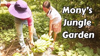 Monys Beautiful Jungle Garden