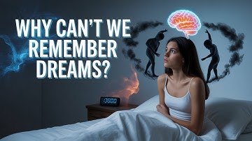 Why Do We Forget Our Dreams So Quickly? | The Science Explained