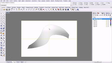 78 - Rhino - Crv from 2 Views   Picture Frame