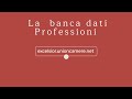 La banca dati professioni del sistema informativo excelsior