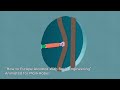 Reuben Levine's Animation Reel – Dec 2025