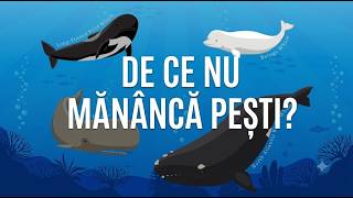 BALENELE: De ce nu mananca pesti?