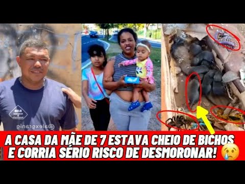 A Casa da Mãe de 7 estava cheio de Bichos e Corria Sério Risco de Desmoronar! 😢 @alexgranig