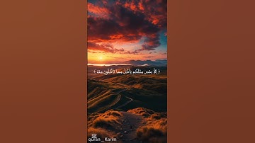 #سورة المؤمنون (37) #قرآن_كريم #اكسبلور