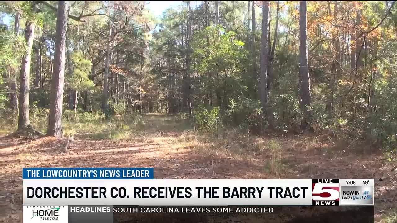 VIDEO: Dorchester County acquires 67-acre conservation land from Lowcountry Land Trust