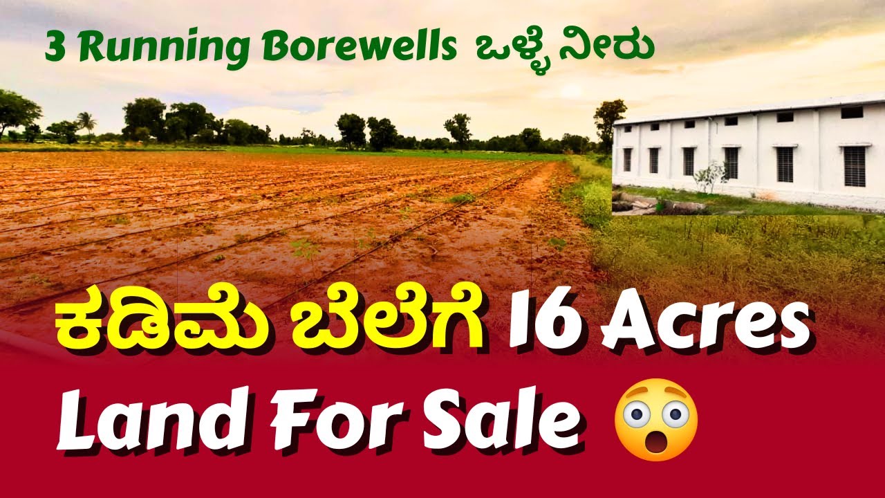 16 ಎಕರೆ ತೋಟ ಕಡಿಮೆ ಬೆಲೆಗೆ ಮಾರಾಟಕ್ಕಿದೆ 👌 16 Acres Farm Land for Sale