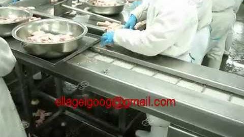 Meat|Fish|Shrimp Weight Grading Machines