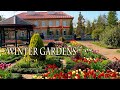 Winter gardens in The suburbs of TOKYO. 東京近郊の冬のガーデン. #4K #ヒマラヤ桜 #アイスチューリップ