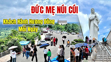Hành Hương Đức Mẹ Núi Cúi 2025 – Trải Nghiệm Thiêng Liêng Và Hành Trình Đầy Ý Nghĩa