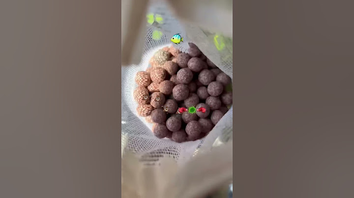 Is this the Rarest Fish?
