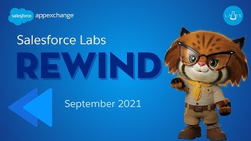 Salesforce Labs  Rewind  (New Apps- September)