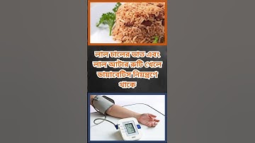 general knowledge || quiz | spinal cord part 52