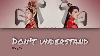 [Legendado/PIN/CHI] The Eternal Love 2 | Wang Tao (王滔) - Don't Understand (不懂) OST song