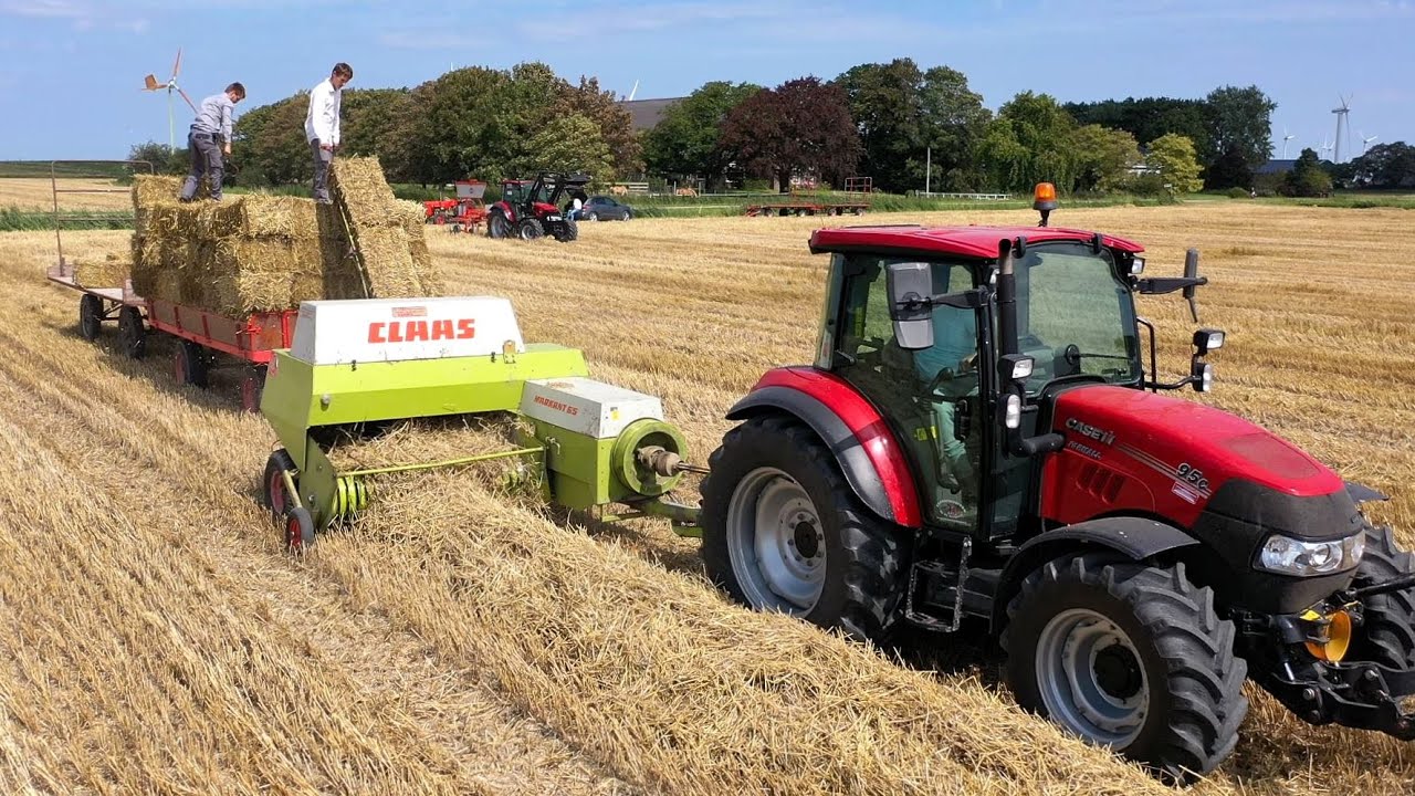 Tarwe stro persen met CLAAS Markant 65. Paardencentrum ''Op de Heegswal'' Uithuizen.