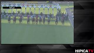 Hípica TV Livestream  -  Sábado 22 de Febrero 2025