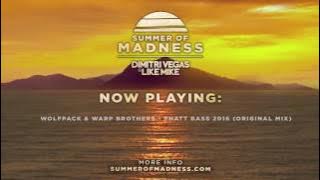 Dimitri Vegas & Like Mike - Summer Of Madness Mix