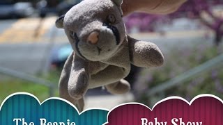 THE BEANIE BABY SHOW (Theme Song)