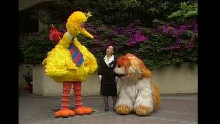 Barkley Sesame Street Big Bird In Japan