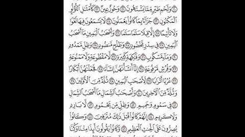 سورة الواقعة قراءة ((عمر عبدالله))