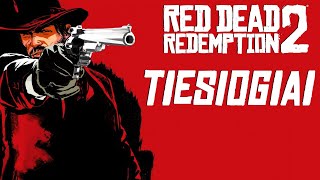 IŠGERIAM UŽ ERNĮ I RDR2 + Sparking Zero + SH2 Remake TIESIOGIAI [Hard]