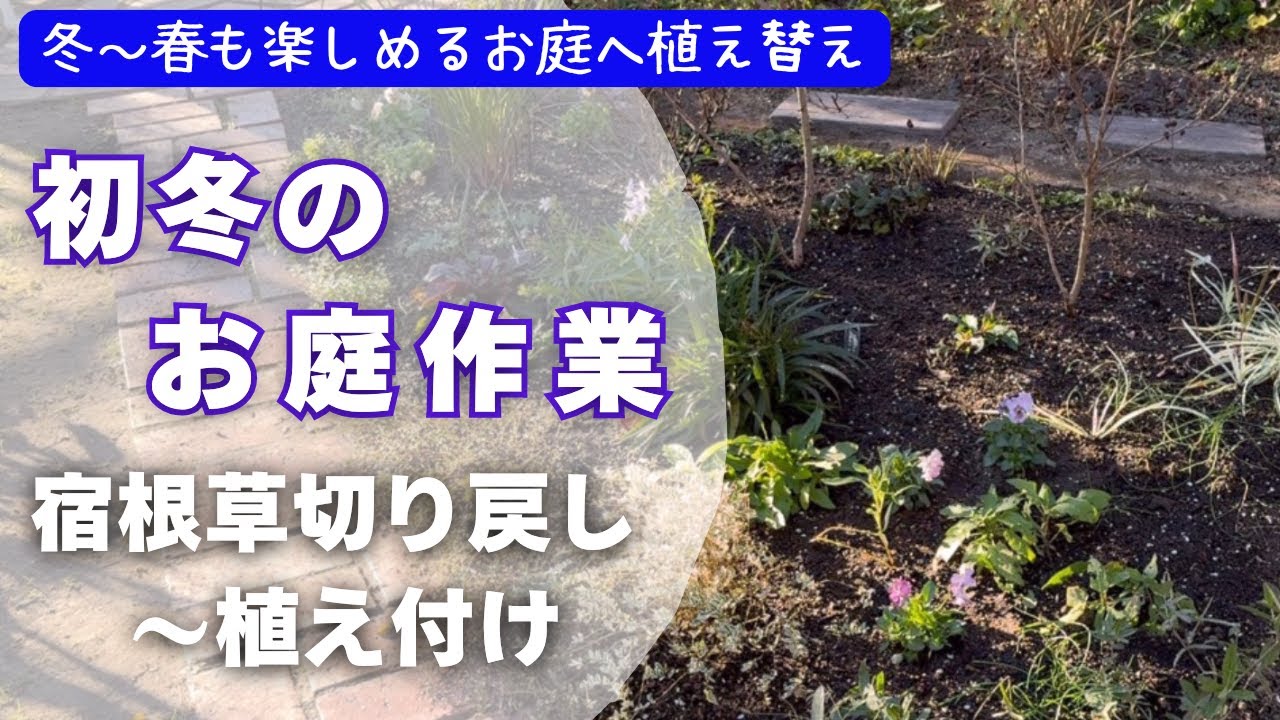 《初冬のお庭作業》宿根草刈り込むのはいつ？／冬～春楽しむお庭作り／冬の超簡単堆肥作り／花壇全品種・丈夫で使える低木～宿根草