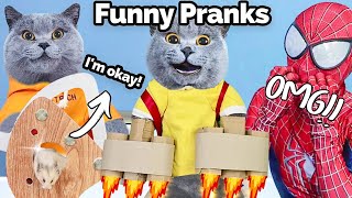 Celebrating One Year With A Wonderful Video Feast!🥳 | Oscar‘s Funny World |New Funny Cat Videos 2023 by Oscar's Funny World 2,396,427 views 10 months ago 1 hour, 10 minutes