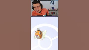 Back To Back Shiny Pokemon! Pokemon Sword And Shield