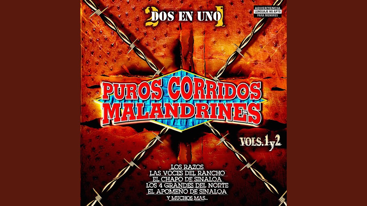 Hay Veces Que El Pato Nada YouTube Hay Veces Que El Pato Nada YouTube