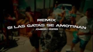 Jombriel, Peipper - Si las gatas se amotinan [Remix[