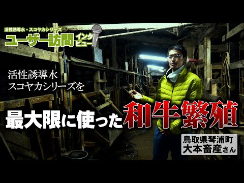 【ユーザー訪問】飼料米の発酵飼料の作り方！その効果とは？活性誘導水・スコヤカを最大限使った和牛繁殖【DNW322】