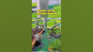 @Sprouting machine/Multi-layer automatic bean sprouting machine