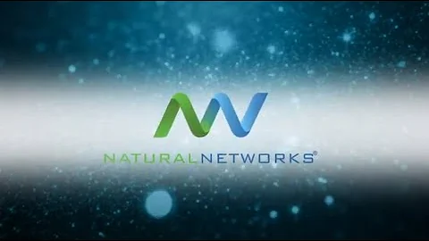 BBB Torch Awards for Ethics 2019 Winner: Natural Networks