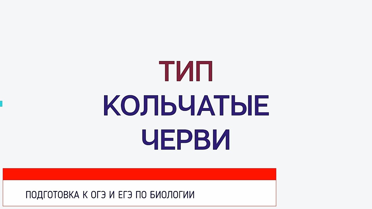 Тест черви егэ. Черви ОГЭ биология. Черви ОГЭ. Черви ЕГЭ. Кольчатые черви ОГЭ биология.