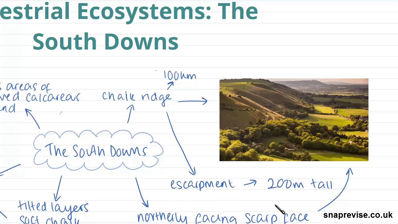 Terrestrial Ecosystems Alevel Geography AQA, OCR, Edexcel YouTube