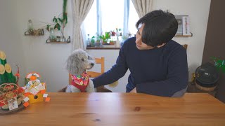 🐶新年のご挨拶と今後の活動について。