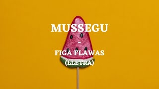 Miniatura de vídeo de "Figa Flawas - MUSSEGU (LLETRA)"