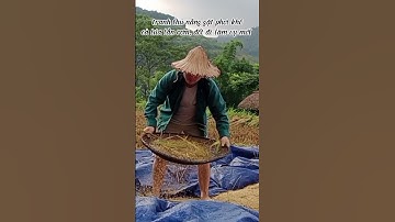 Vợ đi công ty phim Tày 3