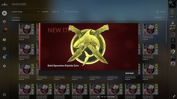 CS:GO - Gold Operation Riptide Coin