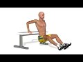 Muscler ses bras tricep bench dips