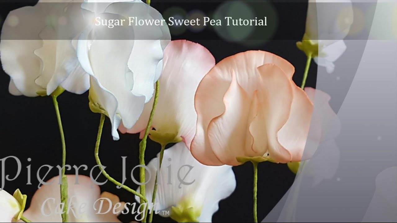 Sweet Peas How To Make Gum Paste Sweet Peas For Cakes Youtube Sweet Pea Flowers Sugar Flowers Sugar Flowers Tutorial
