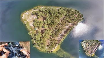 An Apex on an Island..🌴🥥