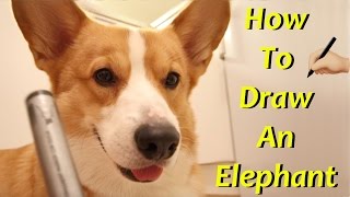 Drawing an ELEPHANT! - Topi the Corgi