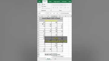 Count Blank Cells in Excel - Tips & Tricks from @todfodeducation